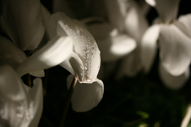 In Flight: London, 5 a.m.